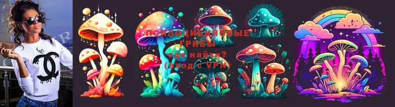 купить закладку  Емва  Псилоцибиновые грибы Psilocybe 